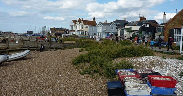 Living in Whitstable, Kent