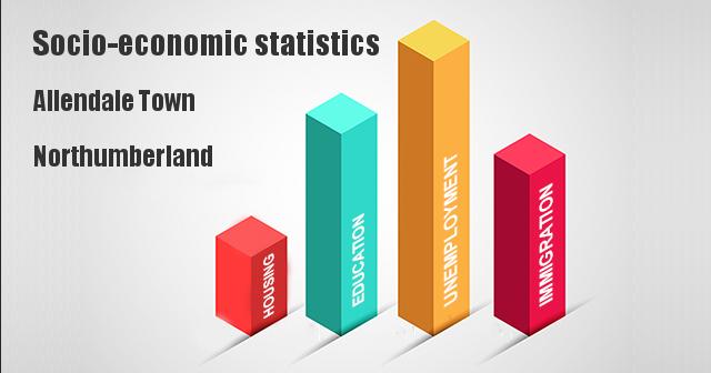 Socio-economic statistics for Allendale Town, Northumberland