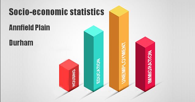 Socio-economic statistics for Annfield Plain, Durham