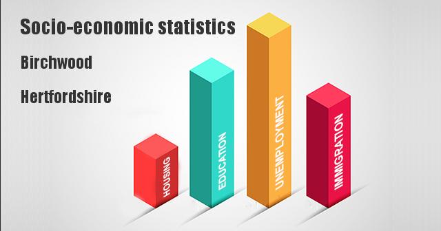 Socio-economic statistics for Birchwood, Hertfordshire