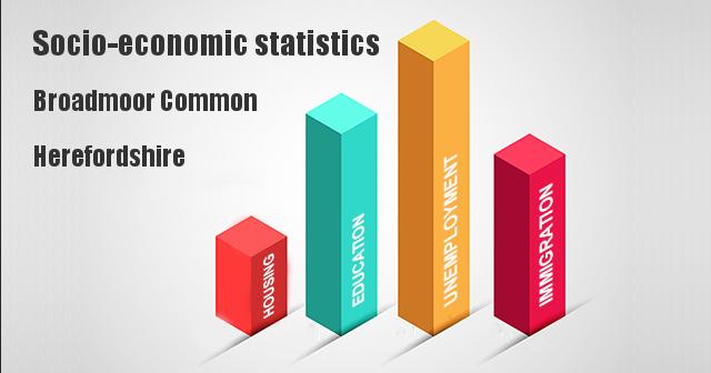 Socio-economic statistics for Broadmoor Common, Herefordshire