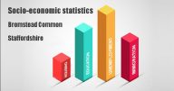Socio-economic statistics for Bromstead Common, Staffordshire