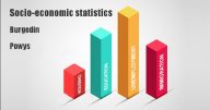 Socio-economic statistics for Burgedin, Powys