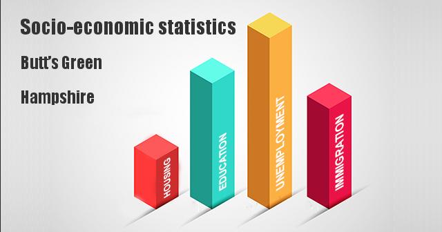 Socio-economic statistics for Butt’s Green, Hampshire
