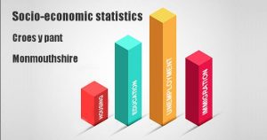 Socio-economic statistics for Croes y pant, Monmouthshire
