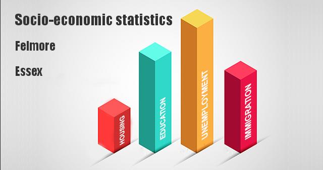 Socio-economic statistics for Felmore, Essex