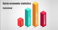 Socio-economic statistics for Gateshead,