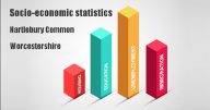 Socio-economic statistics for Hartlebury Common, Worcestershire