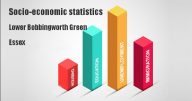 Socio-economic statistics for Lower Bobbingworth Green, Essex