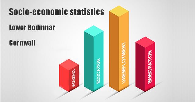 Socio-economic statistics for Lower Bodinnar, Cornwall