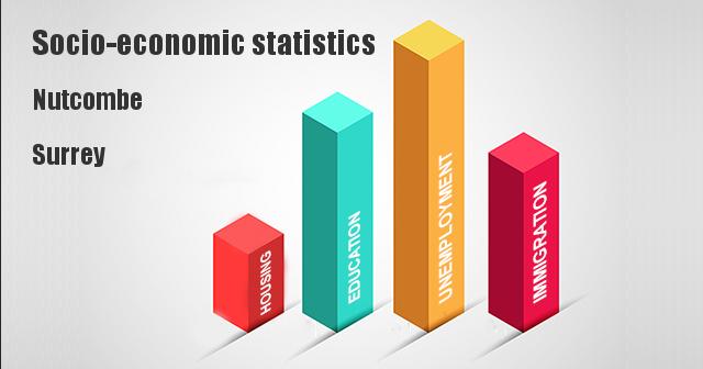Socio-economic statistics for Nutcombe, Surrey