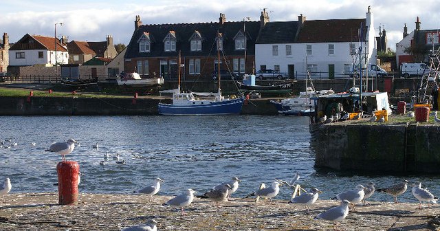 Living in Cockenzie and Port Seton, Scotland